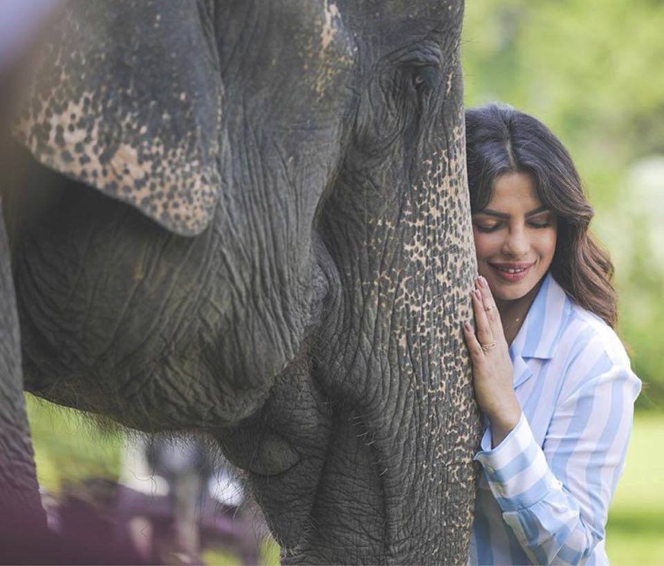 Priyanka Chopra