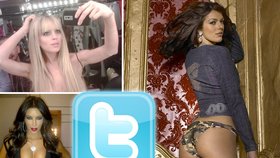 Lindsey Lohan, Kim Kardashian nebo Adrianne Curry se rády předvádějí na Twitteru