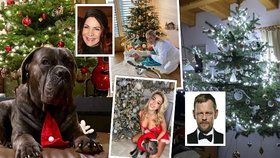 Jak vypadají vánoční stromečky celebrit?