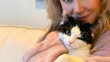 Těchto 10 celebrit nedá ránu bez své kočky. Neuhodnete, čí kočičí parťačka zbožňuje létání!
