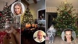 Jágrova schovanka, moderátor Musil i sexy Bendová: Vánoční nedočkavci už mají stromečky!
