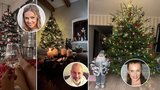 Jágrova schovanka, moderátor Musil i sexy Bendová: Vánoční nedočkavci už mají stromečky!