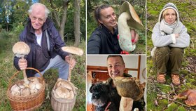 Jákl, Plodková, Kerndl a další hvězdy na houbách: Atomové hřiby a plné koše