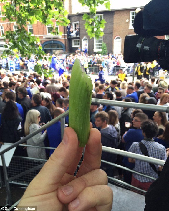 Redaktor deníku Daily Mail chytil celer, který házeli hráči Chelsea