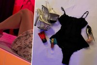 Celeste ze Showparku exkluzivně pro Blesk o zákulisí eskortu: Vydělá si i 650 tisíc měsíčně!