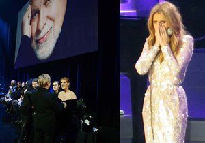 Céline Dion se vrátila na jeviště a neubránila se slzám.