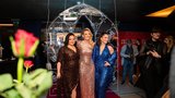 Premiéra Céline show s Noskovou: Dion poslala krátký vzkaz! Filipová kvůli nemoci odřekla