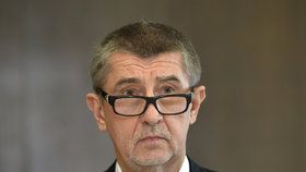 Ministr financí Andrej Babiš na Slovensku u soudu znovu zabodoval.