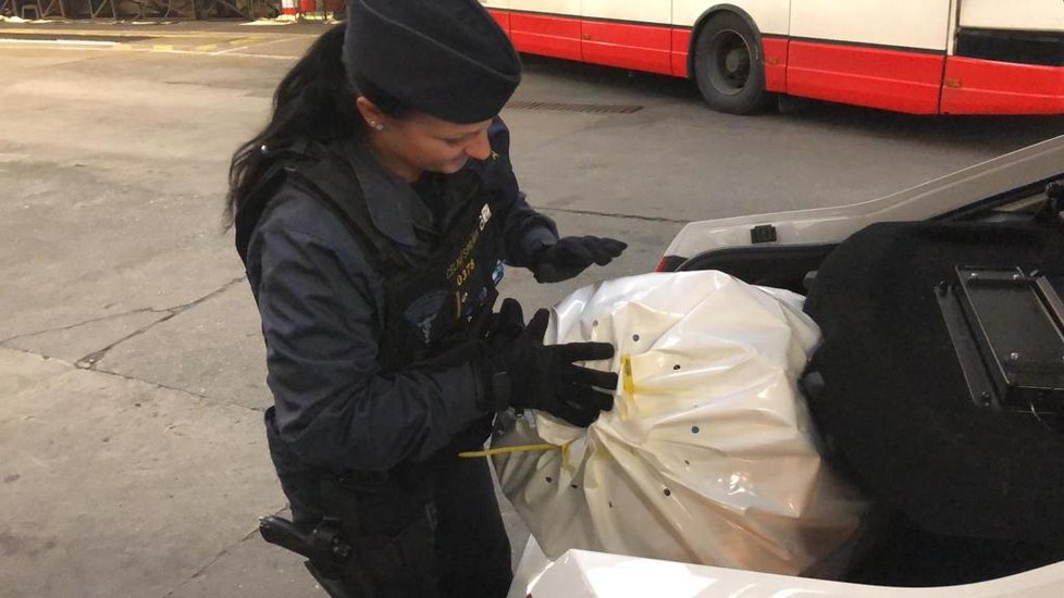 Pražští celníci odhalili v ukrajinském autobusu přibližně 100 neokolkovaných kartonů cigaret.