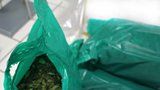 Pořádná nadílka! Pražští celníci zadrželi desítky kilogramů drog