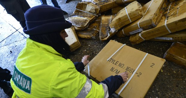 Co odhalili pražští celníci loni na letišti? Drogy, padělky i chráněné rostliny 