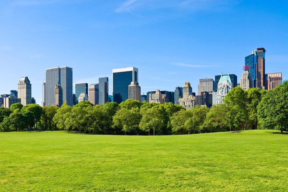 Očekávání: Central Park v New Yorku