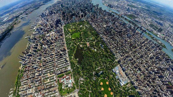 Zeleň v New Yorku dokáže přes léto absorbovat veškeré emise z automobilového provozu