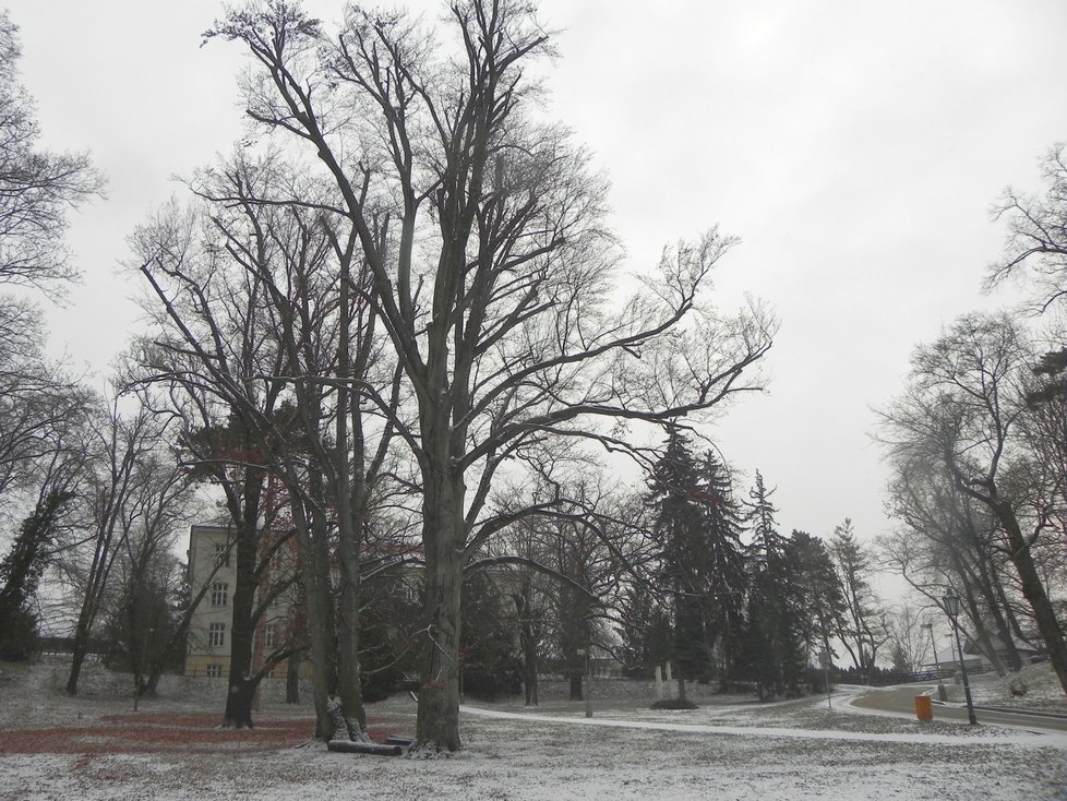 Rozlehlý park na Kociánce láká k procházkám a relaxaci.