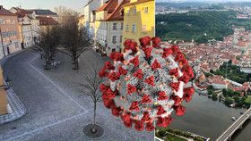 Praha kvůli koronavirové pandemii spustí informační web (ilustrační foto).