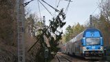 Mezi Čerčany a Senohraby u Prahy nejezdily vlaky. Mohl za to spadlý strom 