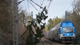 19. březen 2019: Na železnici v úseku Čerčany ‒ Senohraby spadl na trakční vedení strom. Vlaková doprava byla kvůli němu v daném místě pozastavena.