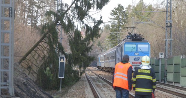 19. březen 2019: Na železnici v úseku Čerčany ‒ Senohraby spadl na trakční vedení strom. Vlaková doprava byla kvůli němu v daném místě pozastavena.