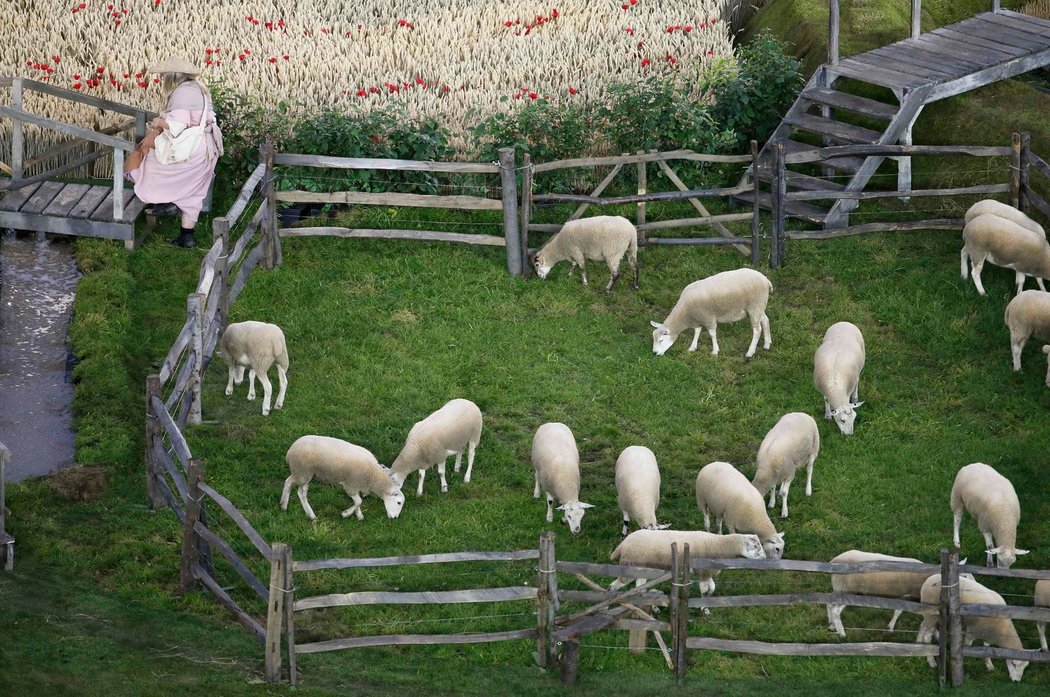 A nechybějí ani ovečky, které jsou součástí velkolepého ceremoniálu.