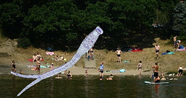 Paraziti zaplavili česká koupaliště: Cerkárie se zavrtají do kůže a způsobí nepříjemné problémy!