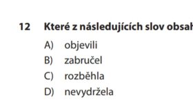 12. otázka v didaktickém testu z češtiny pro druhý termín osmiletých oborů má mít podle Cermatu správně odpověď B i C