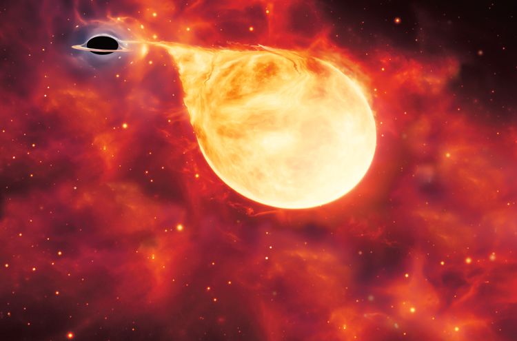 Jedna strana hvězdy čelí větší gravitaci černé díry než protilehlá. Výsledkem je roztrhání hvězdy
