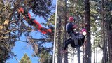 Paraglidistka v Krkonoších uvízla v korunách stromů: Volající zahltili tísňovou linku