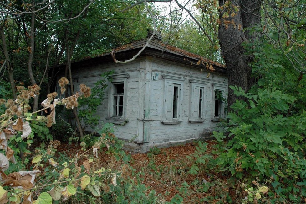 Přírodě stačilo pouhých dvaadvacet let k tomu, aby černobylské ulice a domky v nich už téměř pohltila.