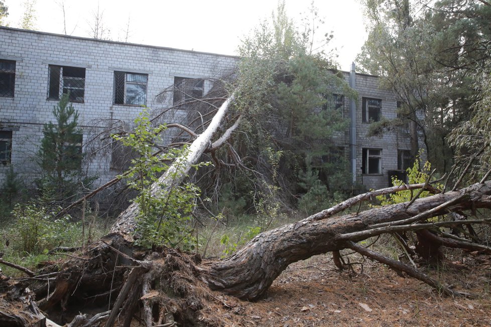 Místo jaderné havárie: Černobyl