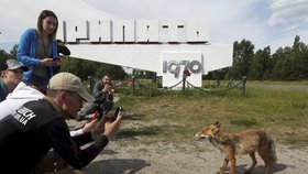 Ačkoli je ukrajinský Černobyl jedním z nejradiokativnějších míst na Zemi, míří tam tisíce turistů