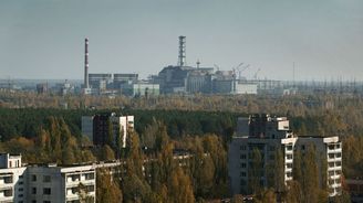 Překvapivý objev: Černobylské houby by mohly člověka chránit před radioaktivním zářením