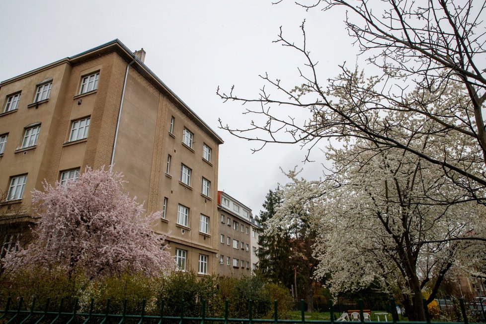 V Černokostelecké ulici v Praze zasahovali hasiči u požáru bytu ve třetím bytě. Na místě jsou zranění. (11. duben 2021)