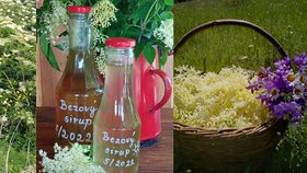 Recept na snadný domácí bezový sirup: Zahradnice Jana poradila, jak správě sbírat květy