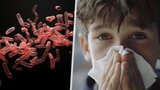 Černý kašel v ČR: Příznaky, očkování, co dělat a jak ho léčit? Vše o epidemii přehledně!