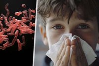 Černý kašel v ČR: Příznaky, očkování, co dělat a jak ho léčit? Vše o epidemii přehledně!