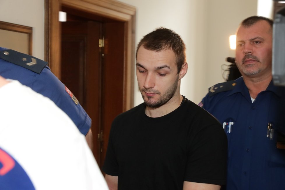 Ivan Hollitzer byl odsouzen pouze za loupež.