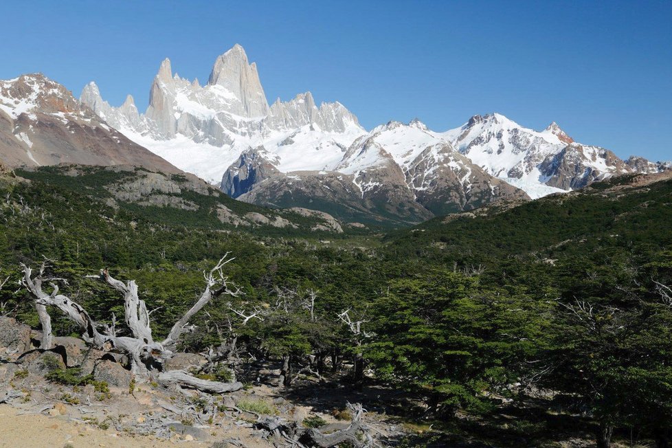 Cerro Chaltén (Monte Fitz Roy) v Argentině