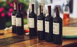 Červené víno jako lék: 10 důvodů, proč si dát skleničku