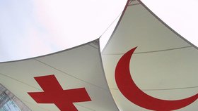 Mezinárodní organizace Červený kříž