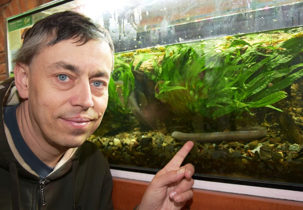 Martin Vobruba z plzeňské zoo u akvária s červorovci splývavými