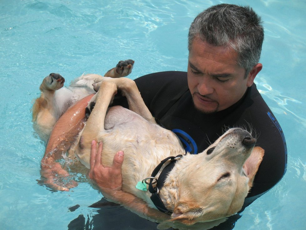 S překonáváním strachu musí Cesar psům občas trochu pomoci… 
