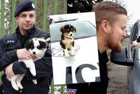 Čeští policisté se vrátili z mise v Makedonii: Přivezli si pár opuštěných štěňat