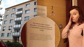 Kouř i hudba, co rozhýbe okenice: Češi se kvůli sousedům obrací na soud, expert má radu