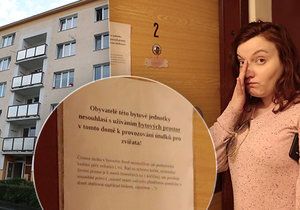 Stále více Čechů se obrací na soud v případě, že má problém se sousedem