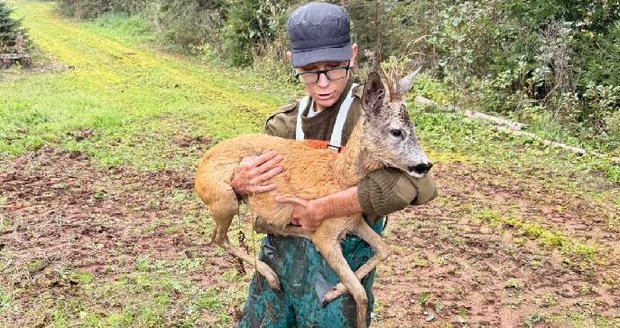 Student Ivan (17) skočil pro tonoucího srnce do rybníka.
