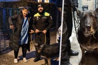 Strážníci z České Lípy pomohli osiřelé fence: Smutný zásah má šťastný konec