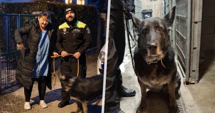 Strážníci našli nový domov fence po smrti majitele.