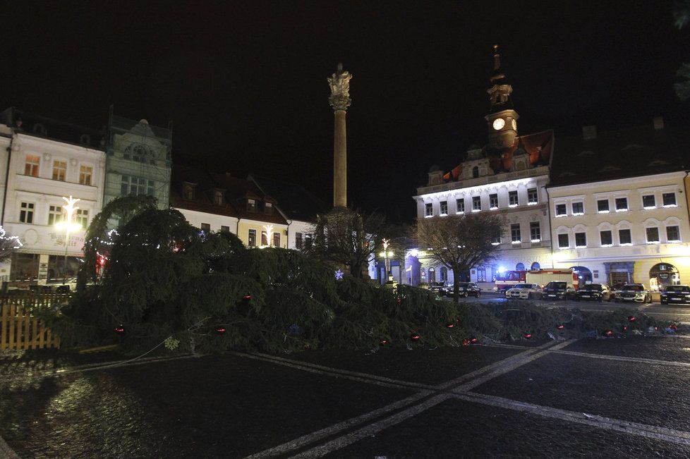 Česká Lípa přišla o svůj vánoční strom na náměstí. Dvacetimetrový smrk spadl zřejmě v důsledku silného větru.