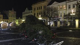 Česká Lípa přišla o svůj vánoční strom na náměstí. Dvacetimetrový smrk spadl zřejmě v důsledku silného větru.