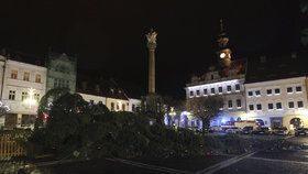 Česká Lípa přišla o svůj vánoční strom na náměstí. Dvacetimetrový smrk spadl zřejmě v důsledku silného větru.